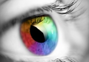 iStock_000005733150Small_Multi-colored Eye